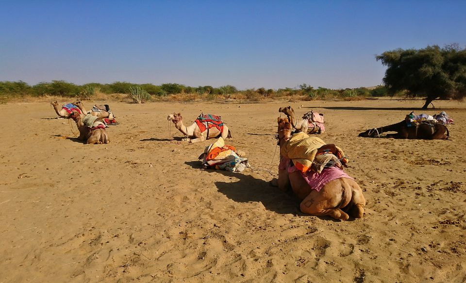 Photo of Your guide to visit the "Blue City" of India 3/3 by Swetha Krishnan