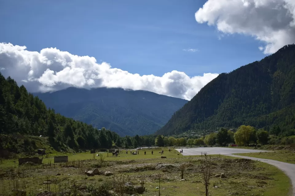Photo of Haa, Bhutan by Darshana Vinodiya