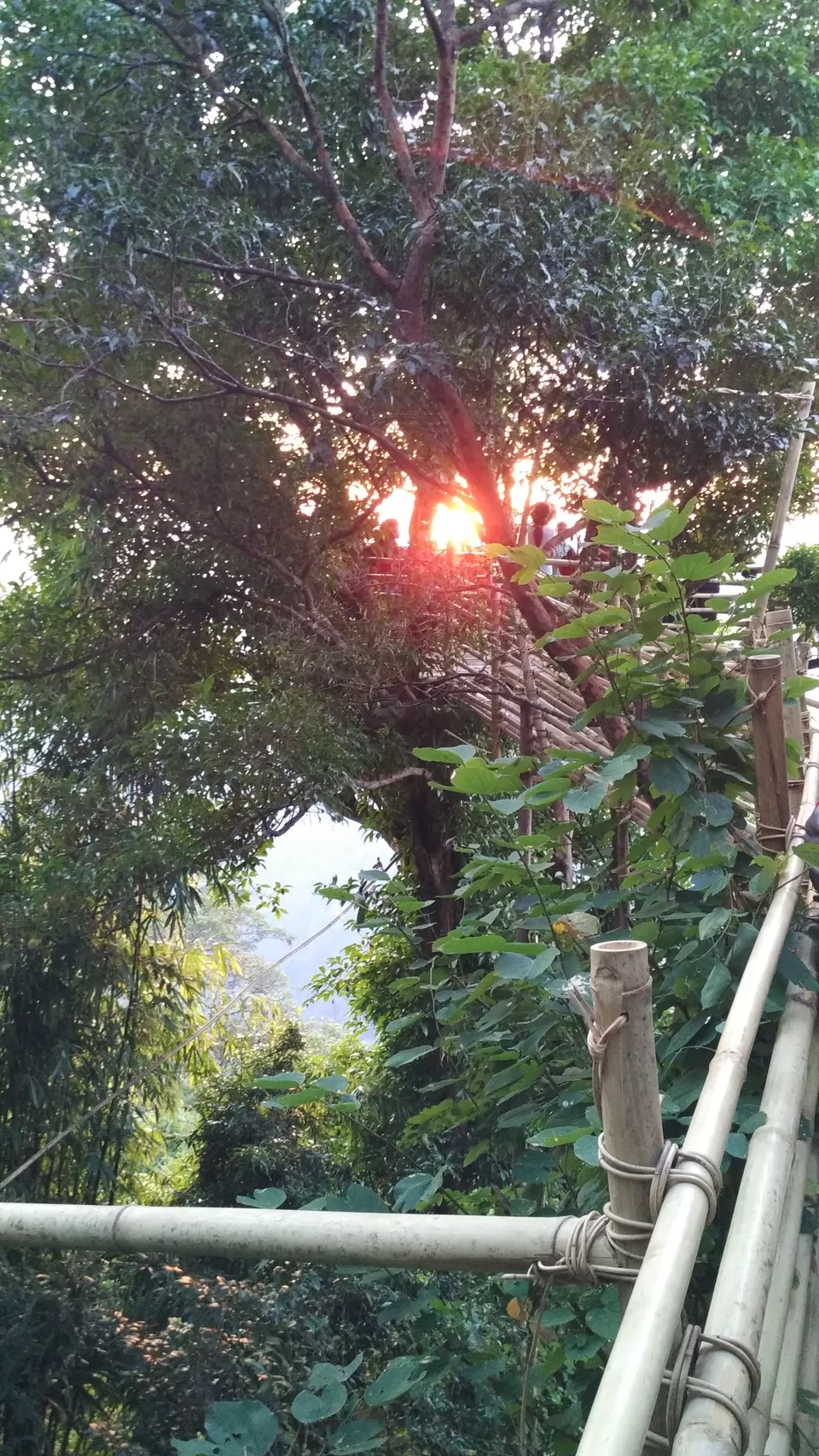 Photo of View Point Riwai Village by Pratima Yadav