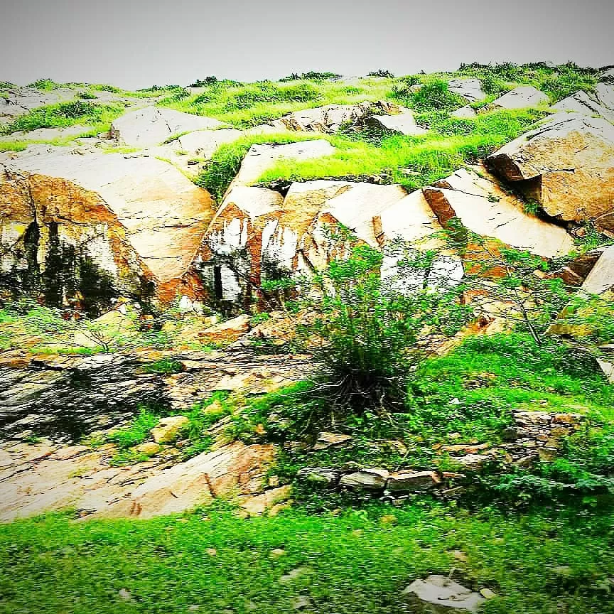 Photo of Ajmer-Pushkar Diaries by Versha Khuttel