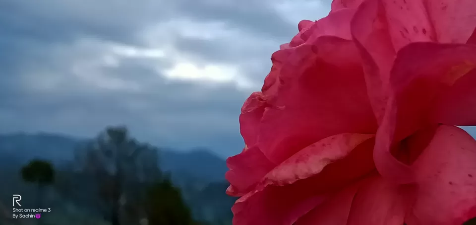 Photo of Himalayas calling by Sachin Rawat