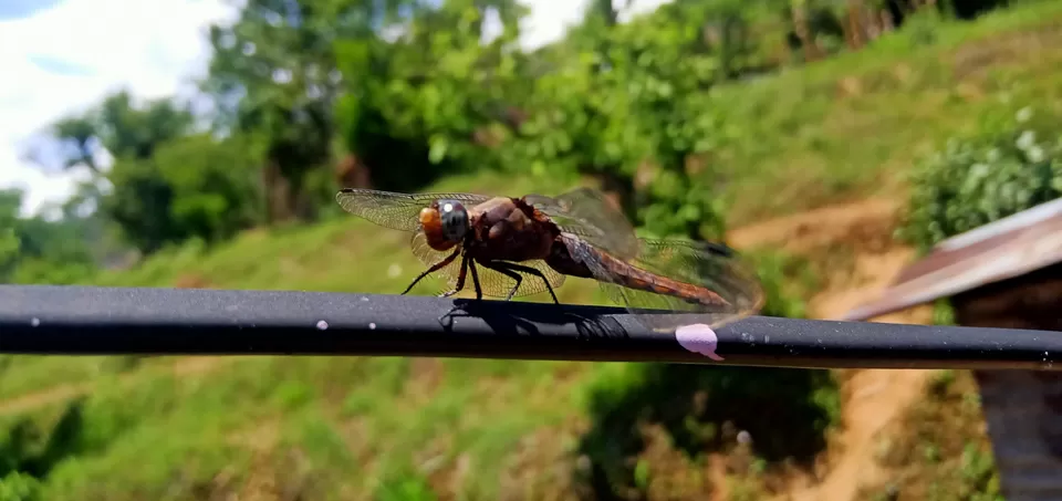 Photo of Himalayas calling by Sachin Rawat