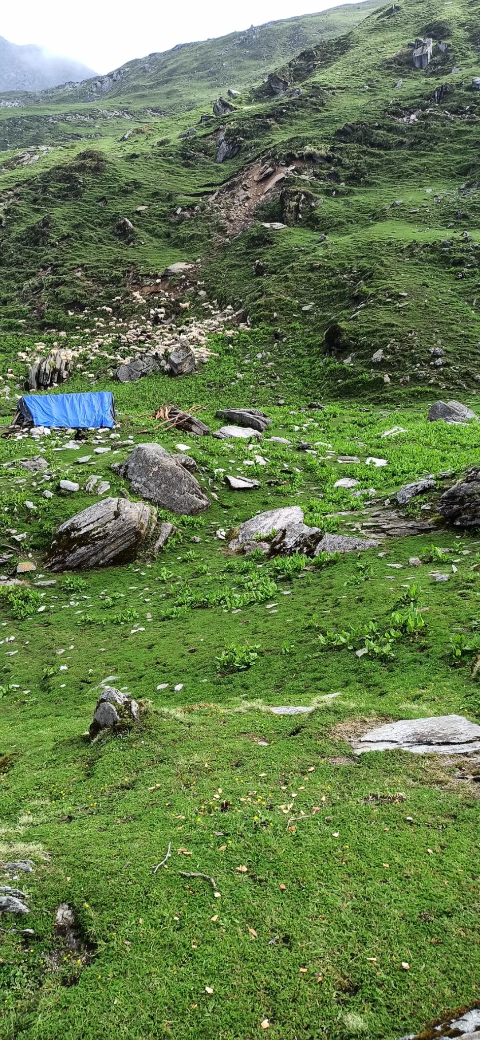 Photo of Brahmatal Trekking, Roopkund Route, Lohajung, Uttarakhand, India by Sachin Rawat