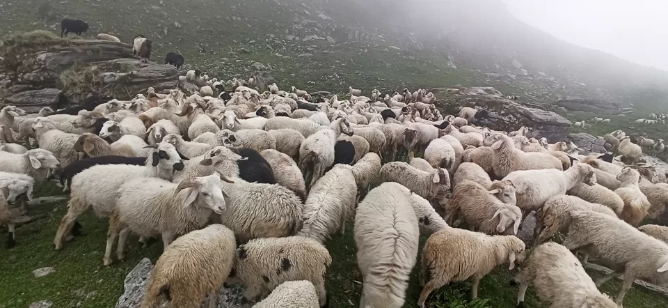 Photo of Brahmatal Trekking, Roopkund Route, Lohajung, Uttarakhand, India by Sachin Rawat