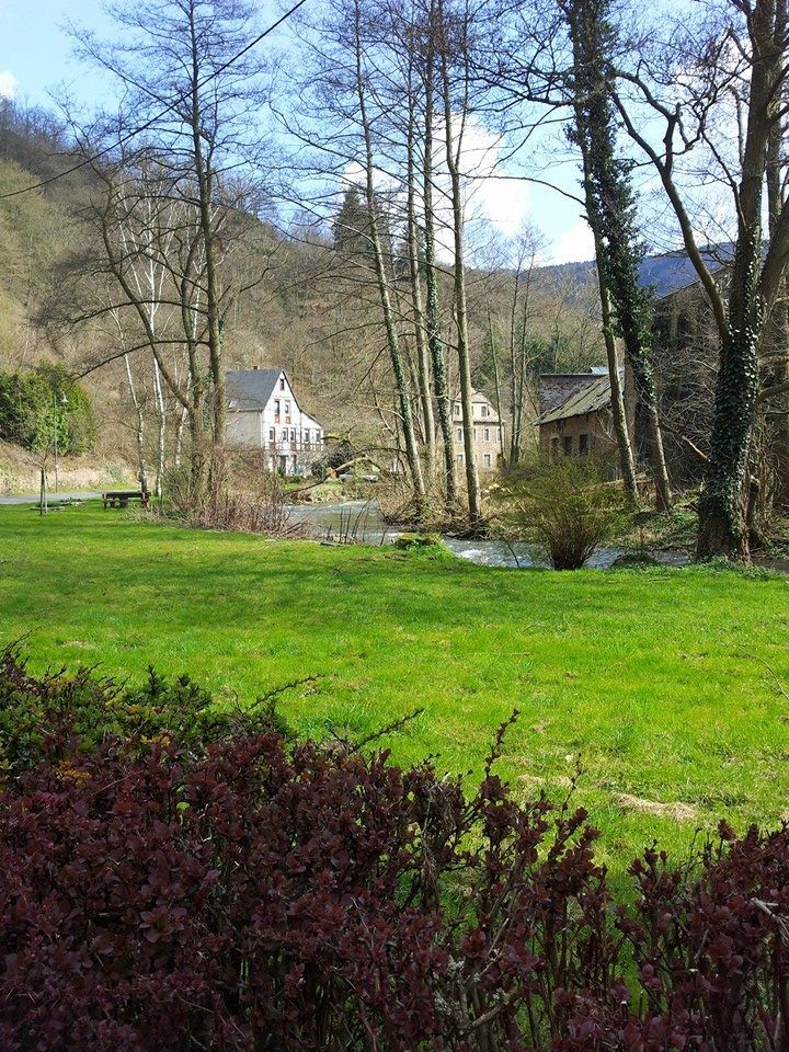 Photo of Best of the Mosel Valley….. Germany 21/27 by manjuris