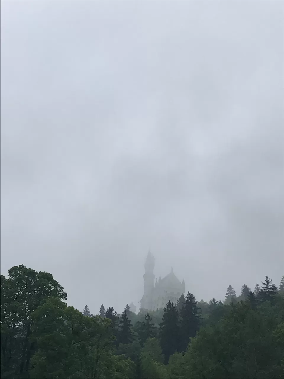 Photo of Neuschwanstein Castle, Neuschwansteinstraße, Schwangau, Germany by Geetha Ranganathan