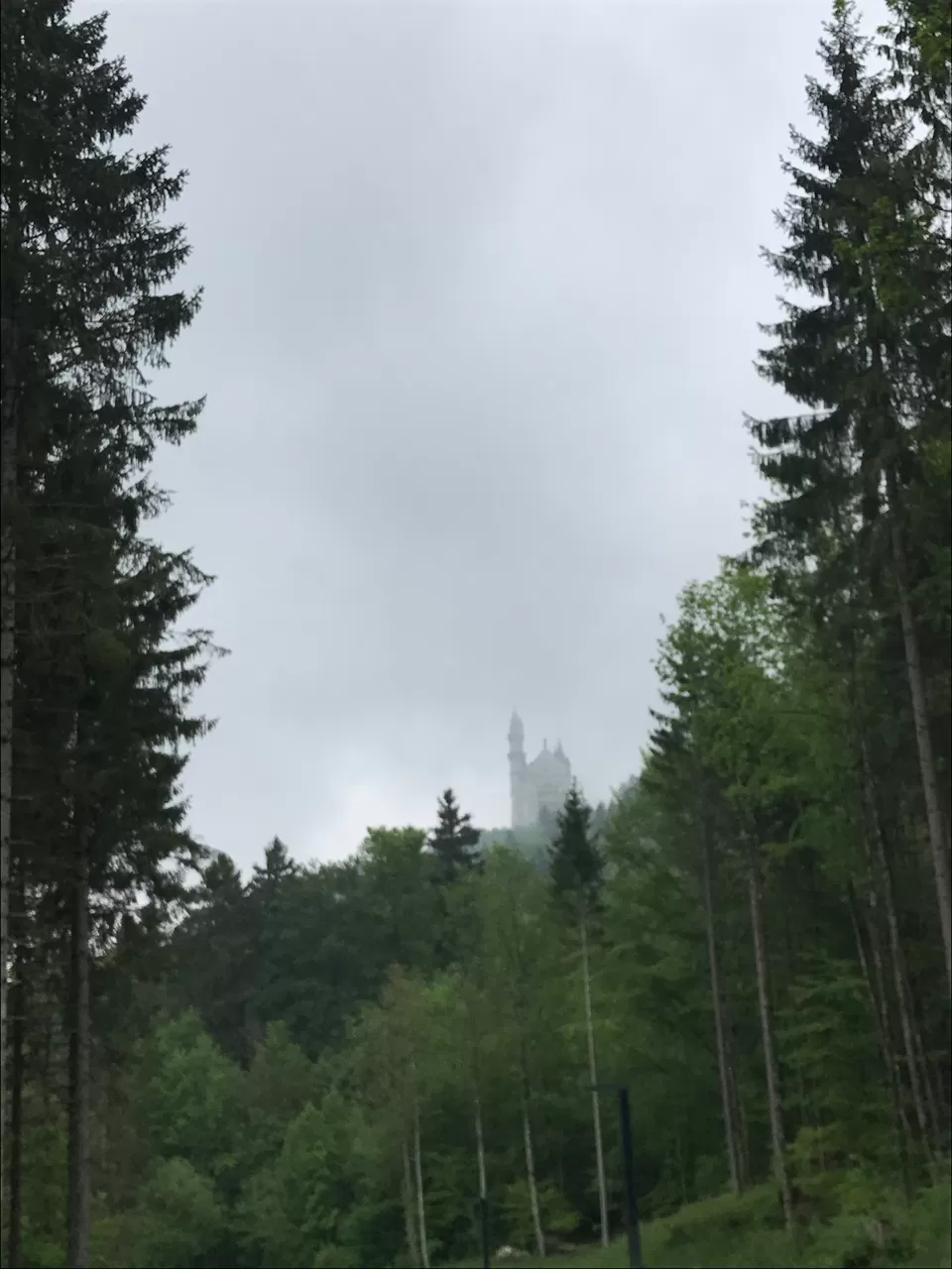 Photo of Neuschwanstein Castle, Neuschwansteinstraße, Schwangau, Germany by Geetha Ranganathan