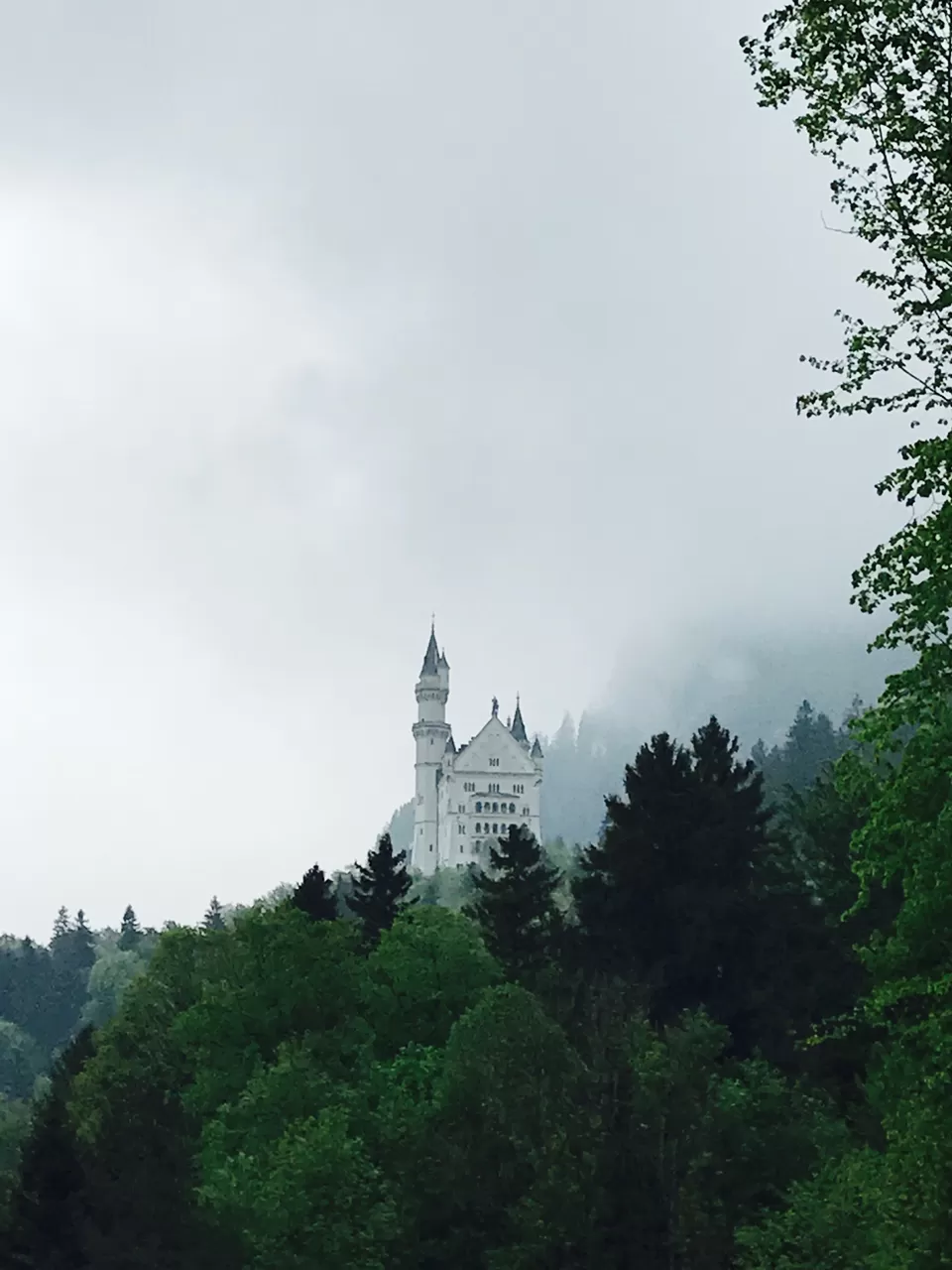 Photo of Neuschwanstein Castle, Neuschwansteinstraße, Schwangau, Germany by Geetha Ranganathan