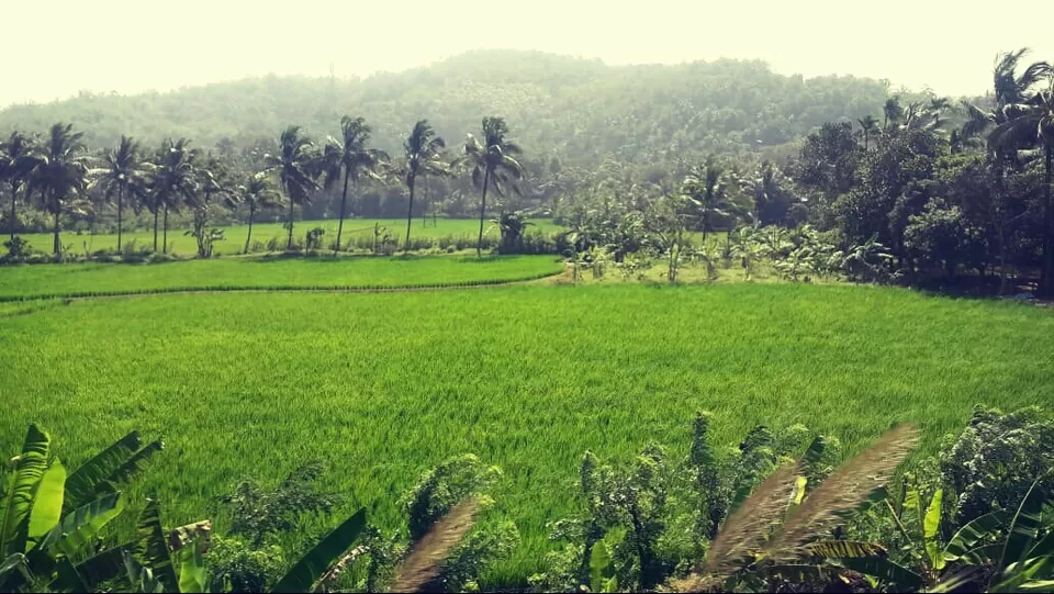 Photo of 7DESTINATION/DAY5/THE TRAIN AND BACKWATER by Nihit Sharma