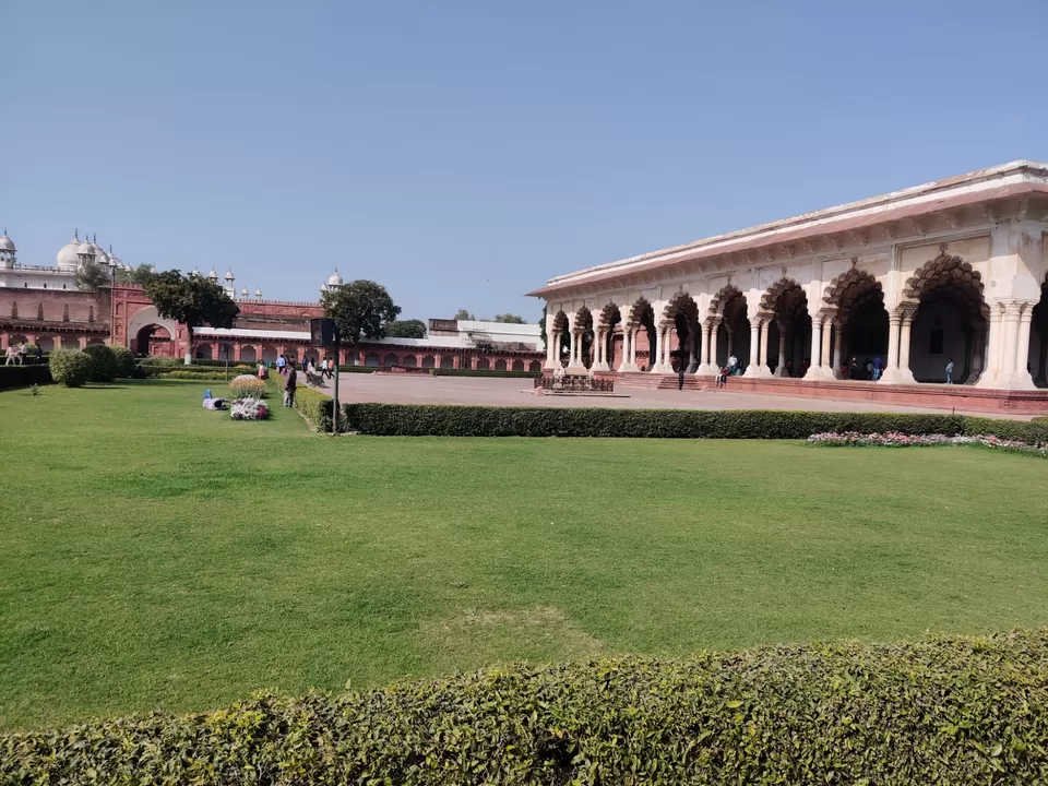 Photo of No wonder, it's a wonder by Ankita Kala