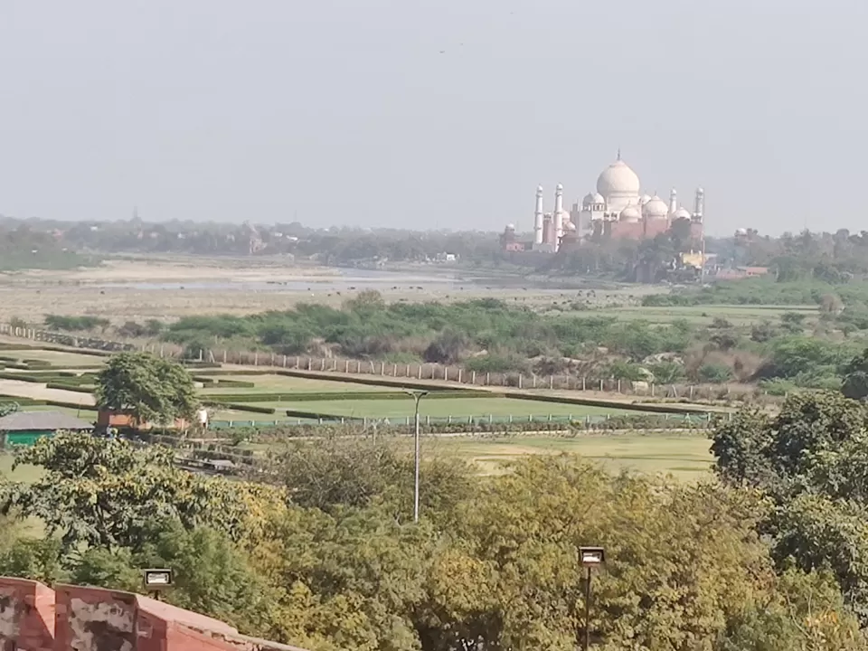 Photo of No wonder, it's a wonder by Ankita Kala