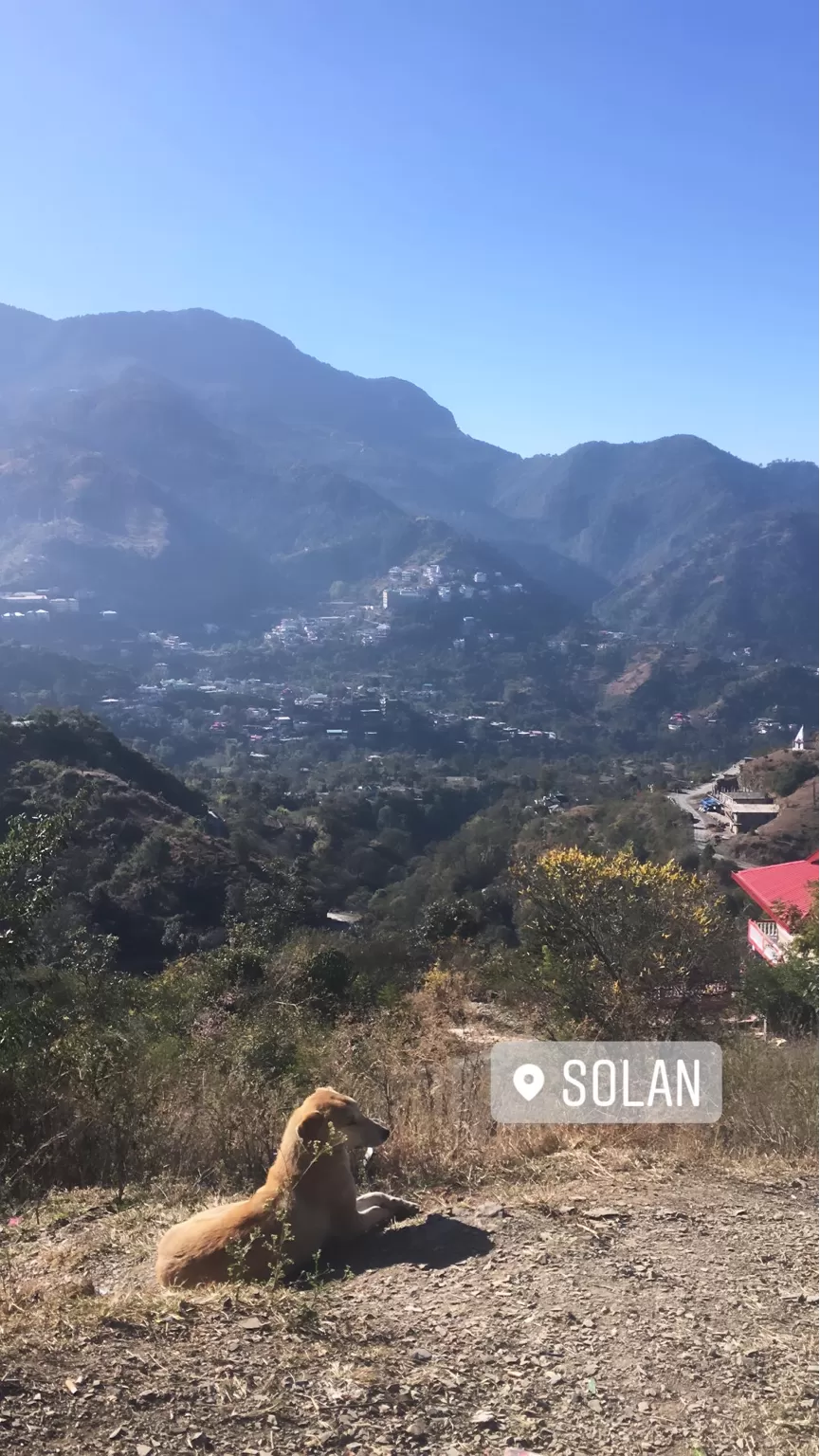 Photo of Solan, Himachal Pradesh, India by Venkatesh Sabhapathi