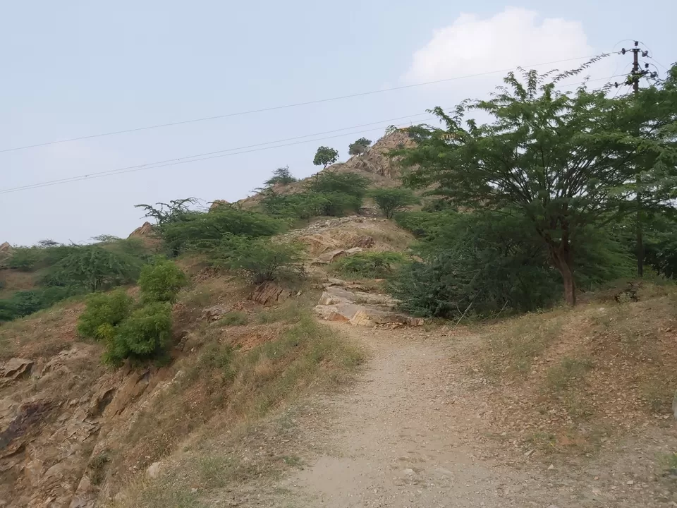 Photo of Amazing Trip by Swaraj Deb