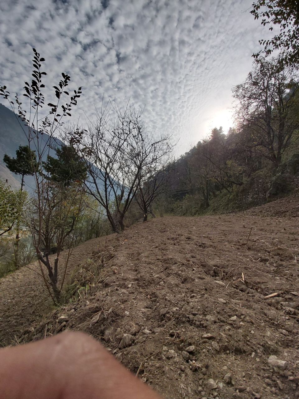 Photo of A journey into the Past by Swaraj Deb