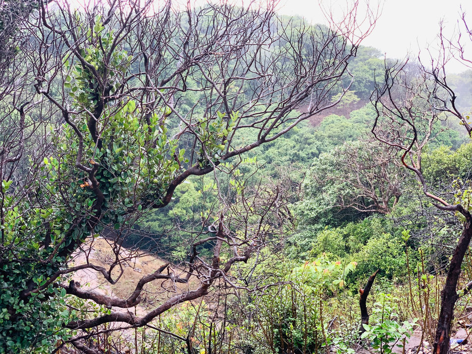 Photo of Lonavala, Maharashtra, India by Sonali Jha
