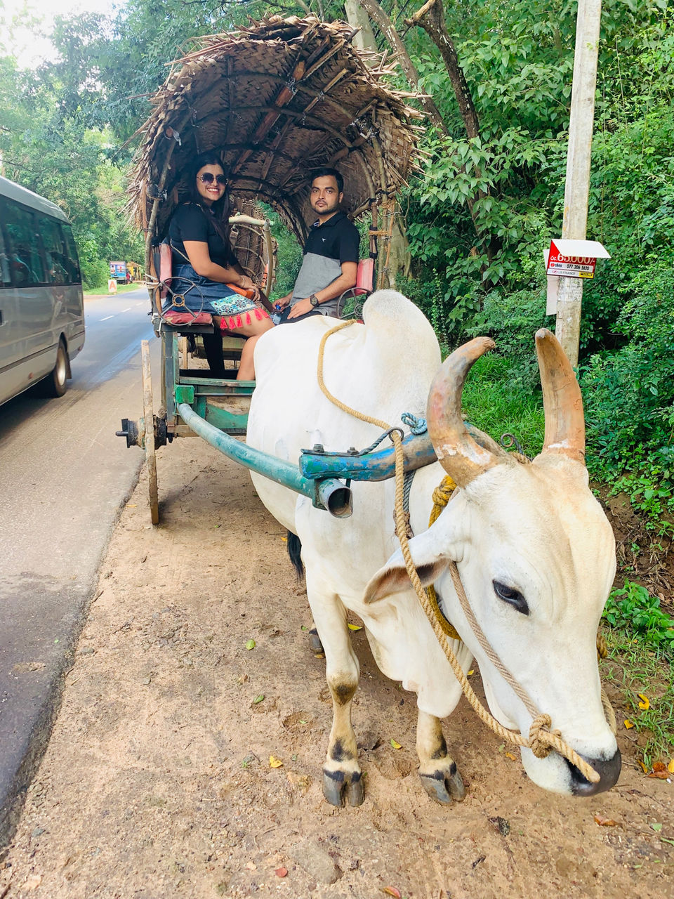 Photo of Sigiriya Villa, Sigiriya, Sri Lanka by Sonali Jha