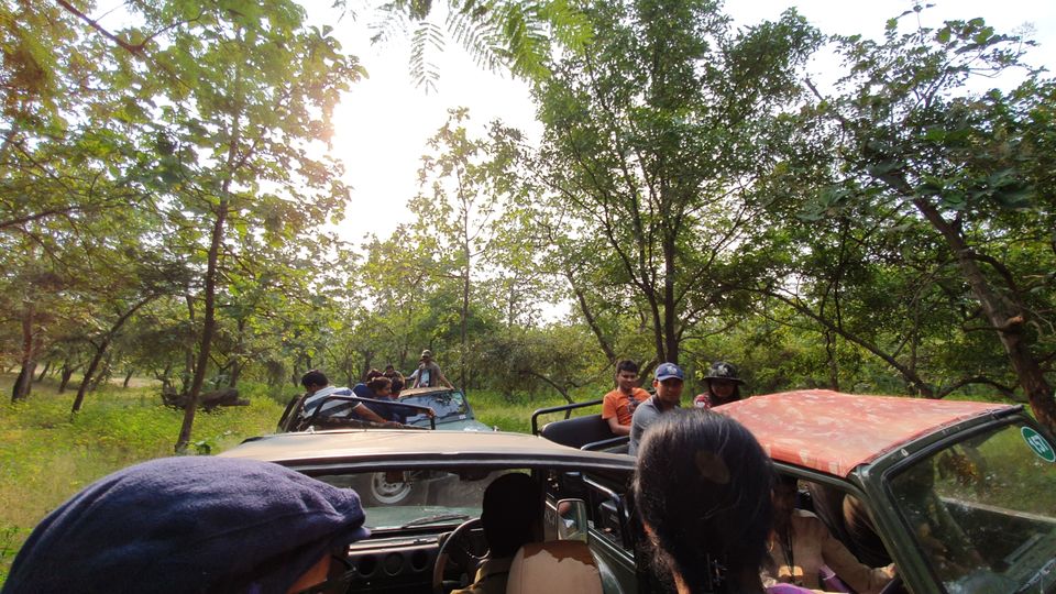 Photo of Asiatic lion,Gir jungle and a road trip...what else!!! by TravelBug