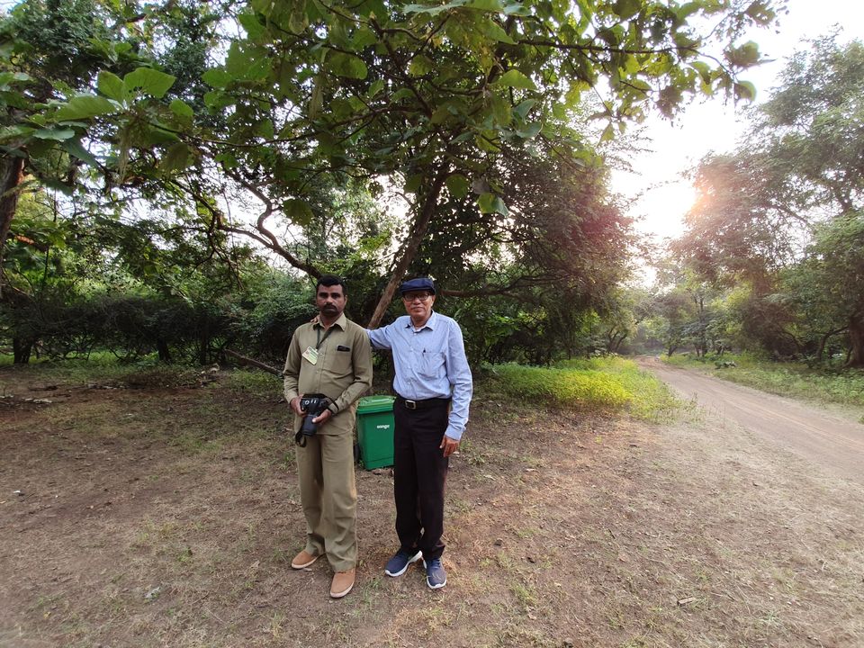Photo of Asiatic lion,Gir jungle and a road trip...what else!!! by TravelBug