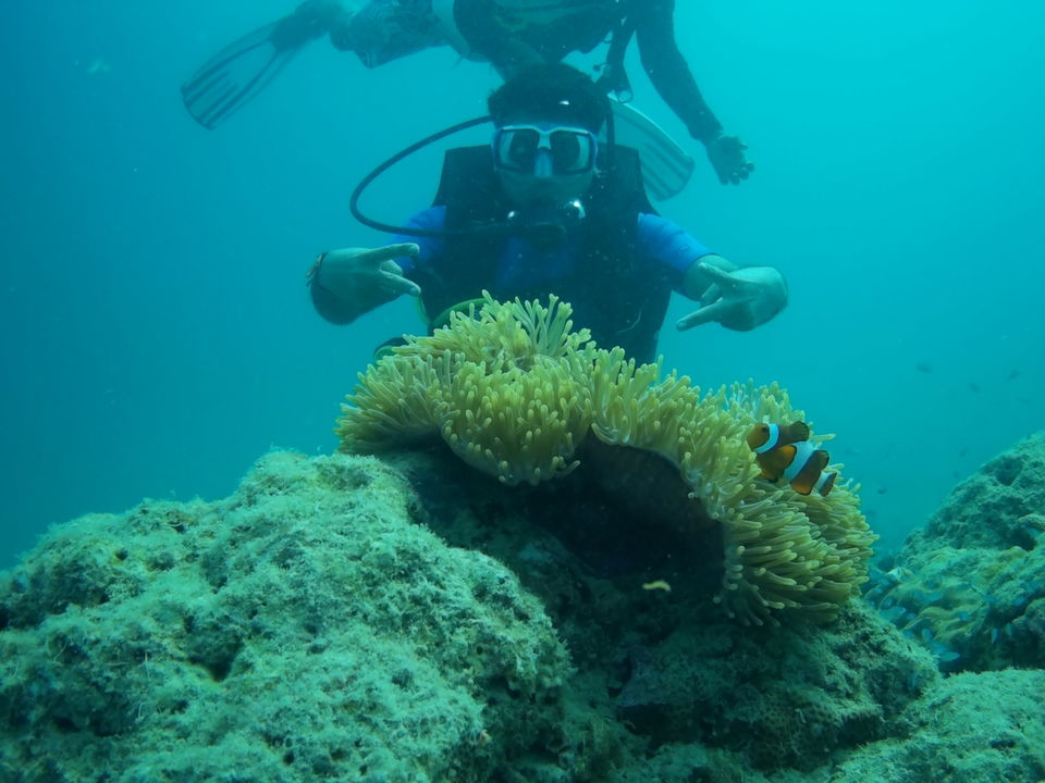 Photo of ANDAMAN TRIP by Ravi