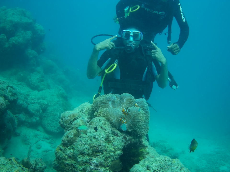 Photo of ANDAMAN TRIP by Ravi