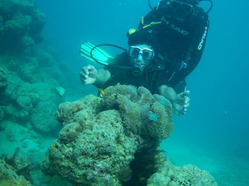 Photo of ANDAMAN TRIP by Ravi