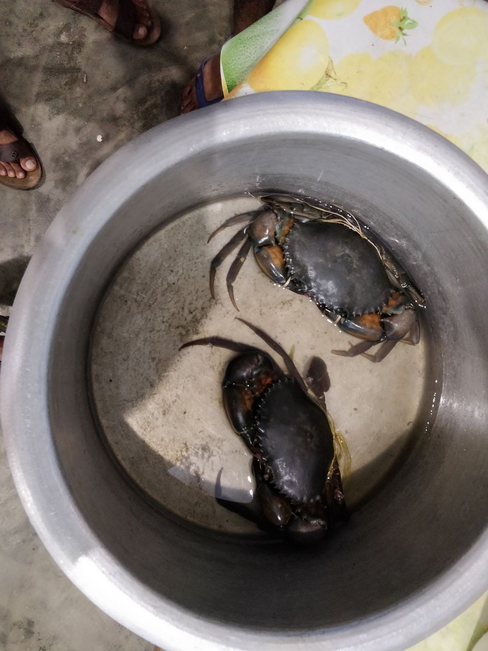 Photo of ANDAMAN TRIP by Ravi
