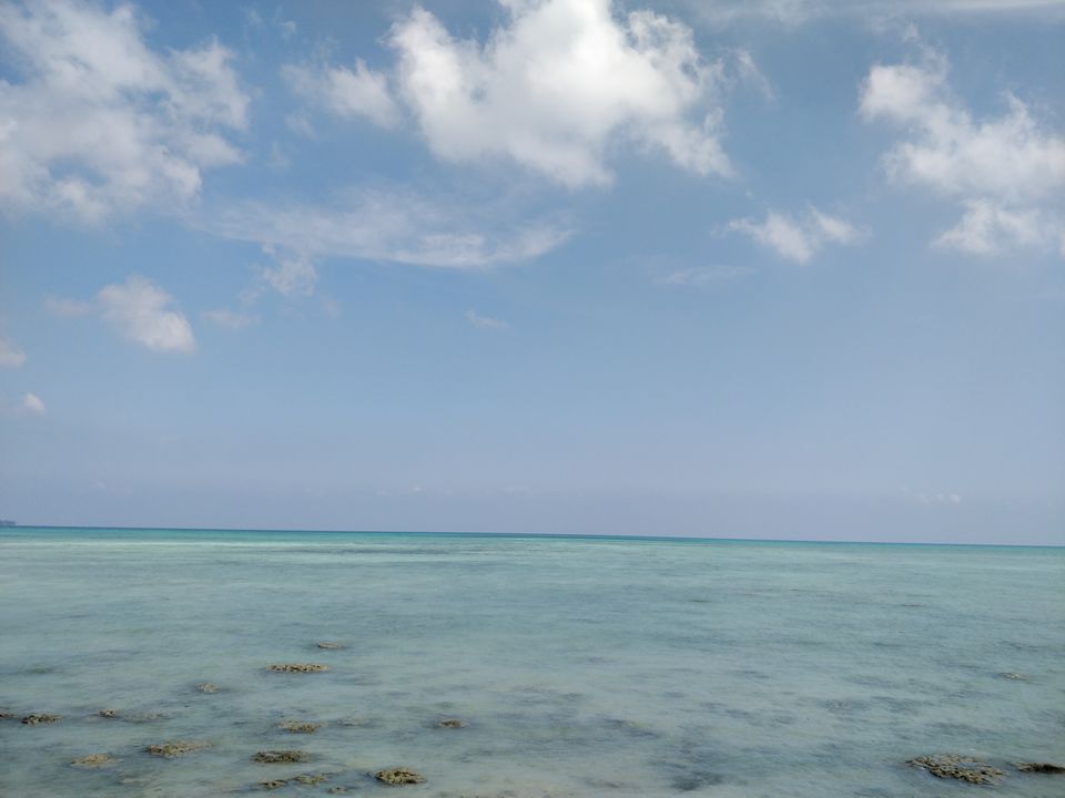 Photo of Havelock Island, Andaman and Nicobar Islands by Ravi