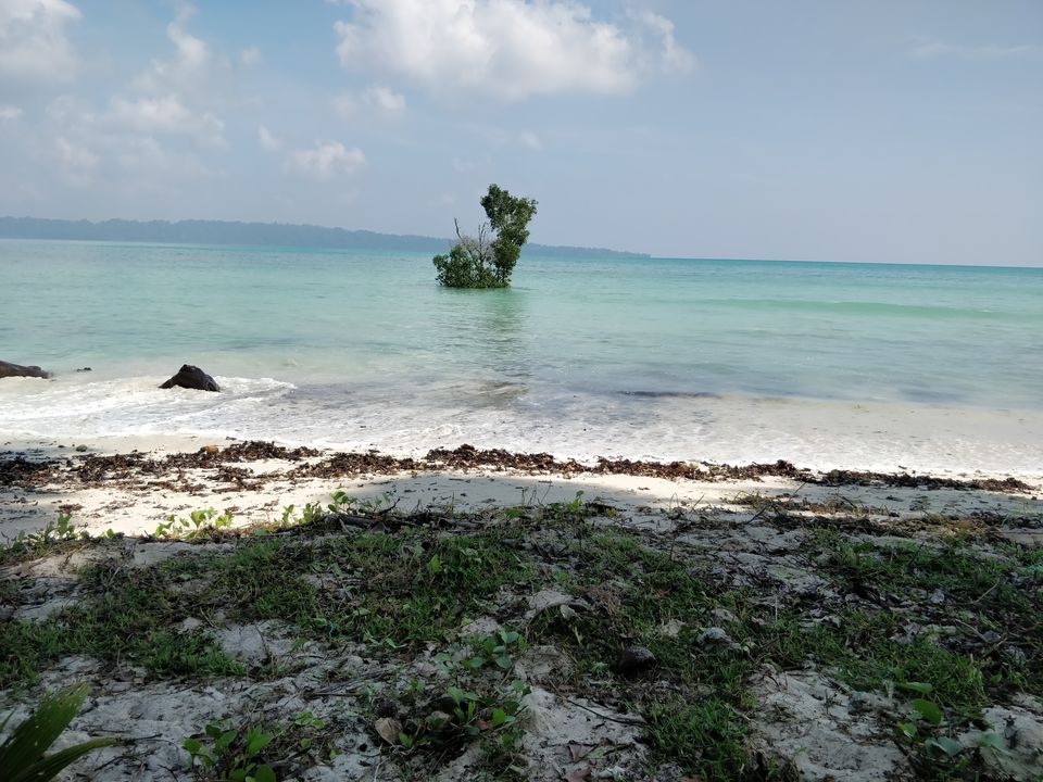 Photo of Havelock Island, Andaman and Nicobar Islands by Ravi