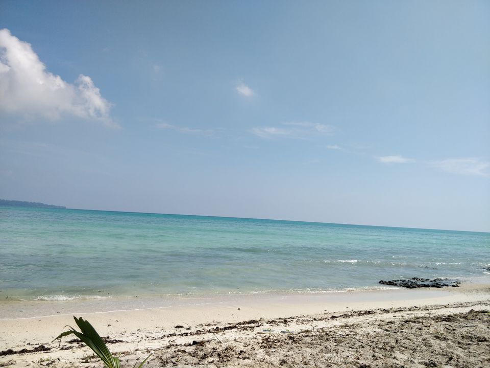 Photo of Havelock Island, Andaman and Nicobar Islands by Ravi