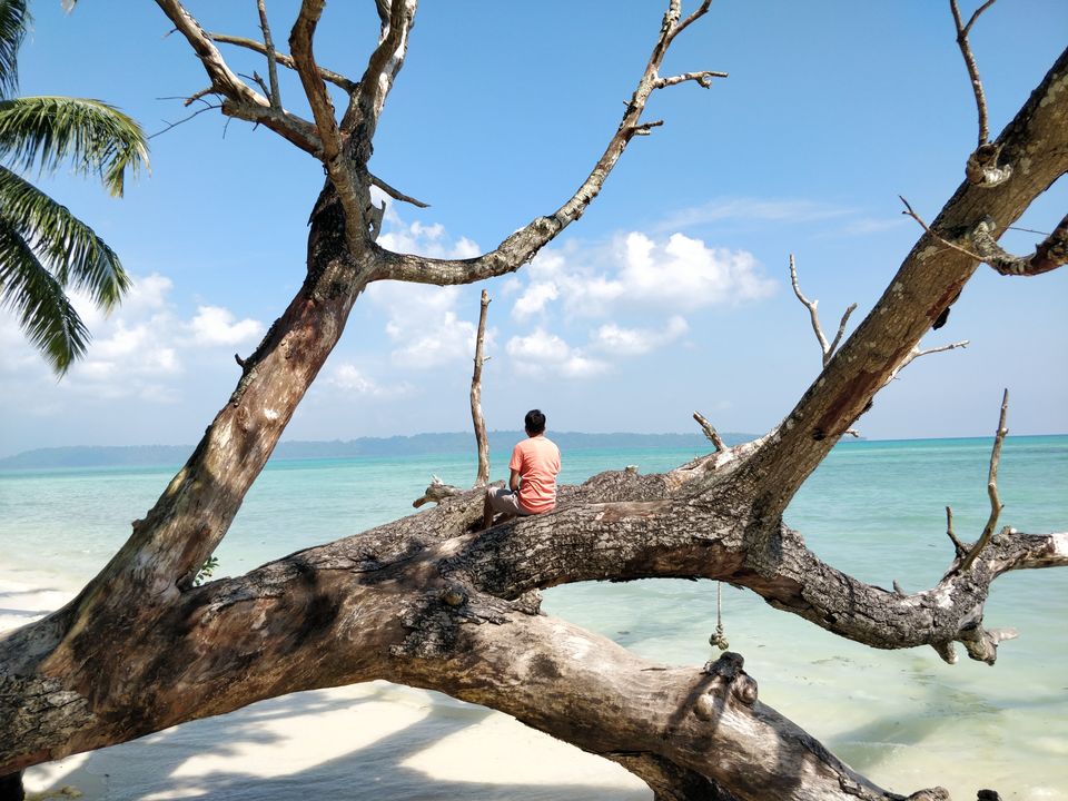 Photo of Havelock Island, Andaman and Nicobar Islands by Ravi