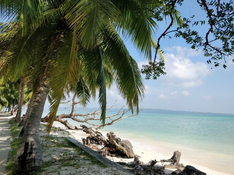 Photo of Havelock Island, Andaman and Nicobar Islands by Ravi