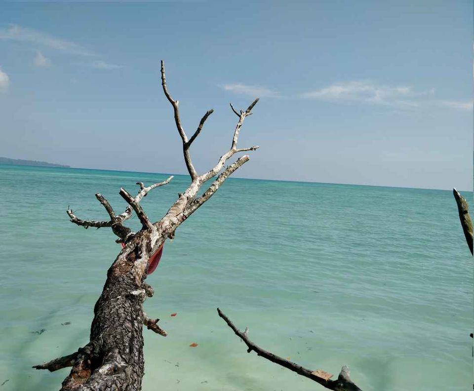 Photo of ANDAMAN TRIP by Ravi