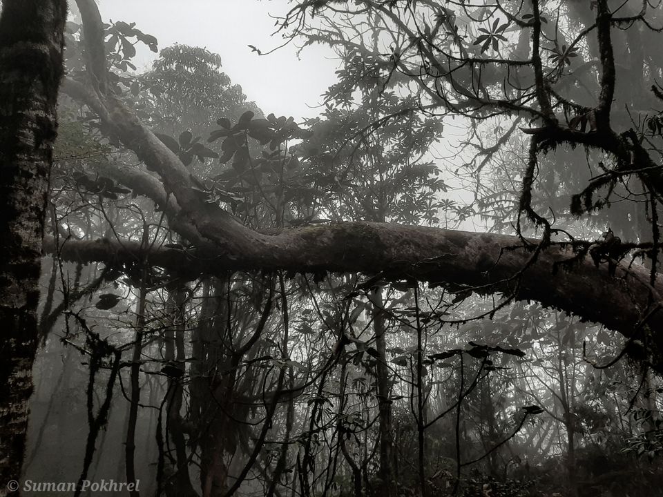 Photo of Bhaleydhunga, Sikkim, India by Suman Pokhrel
