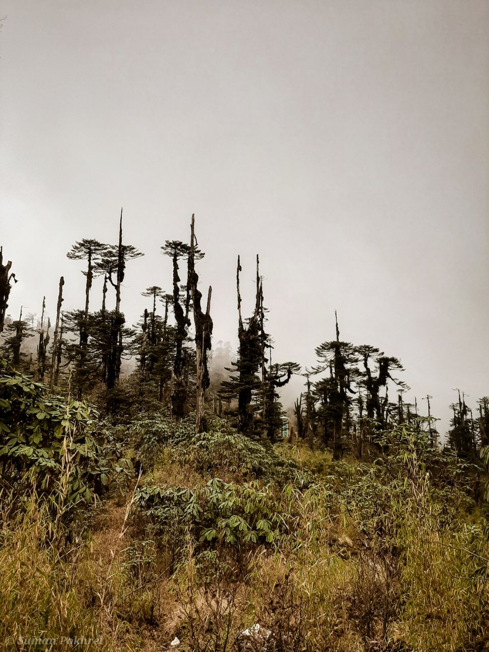 Photo of Bhaleydhunga, Sikkim, India by Suman Pokhrel