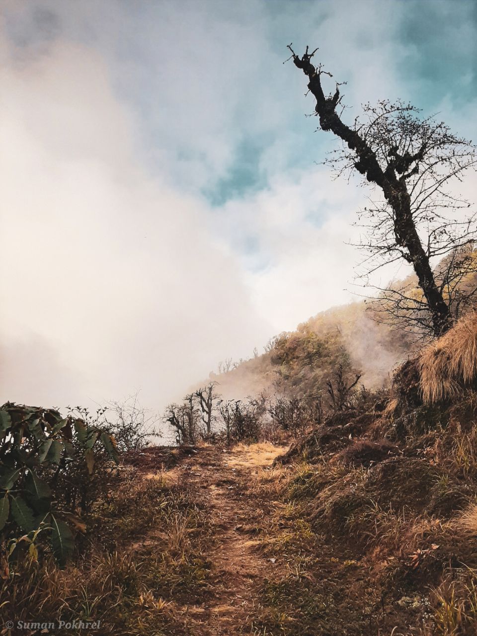 Photo of Bhaleydhunga, Sikkim, India by Suman Pokhrel