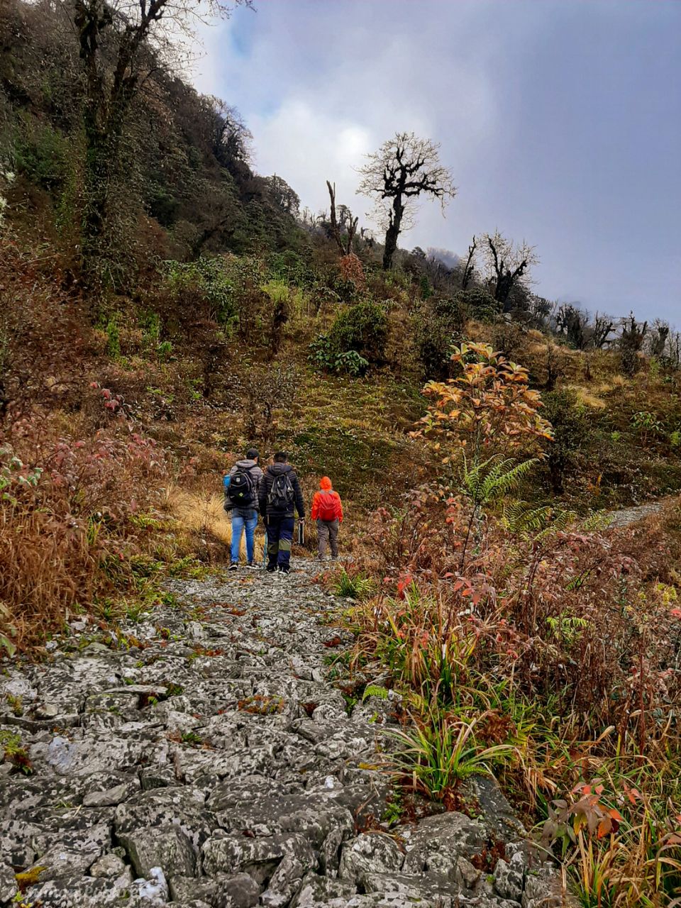 Photo of Bhaleydhunga, Sikkim, India by Suman Pokhrel