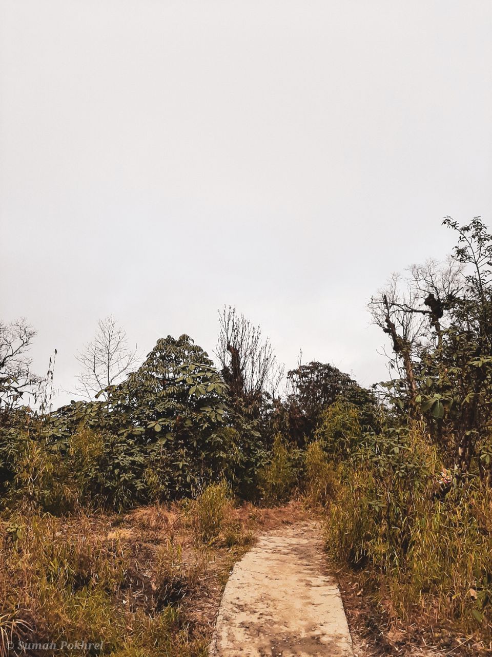 Photo of Bhaleydhunga, Sikkim, India by Suman Pokhrel