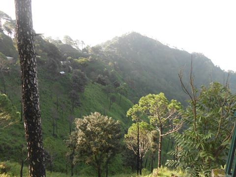 Photo of A day in Kasauli 3/4 by Himangi Singh