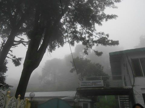 Photo of A day in Kasauli 2/4 by Himangi Singh