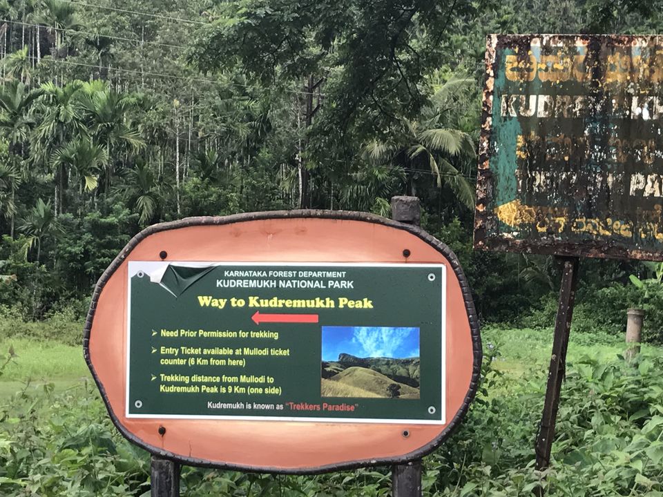 Photo of Kudremukh National Park, Shanthala Nagar, Ashok Nagar, Bengaluru, Karnataka, India by Himangi Singh