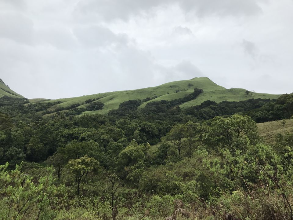 Photo of #BestOfTravel - My experience of Western Ghat through Kudremukh trek by Himangi Singh