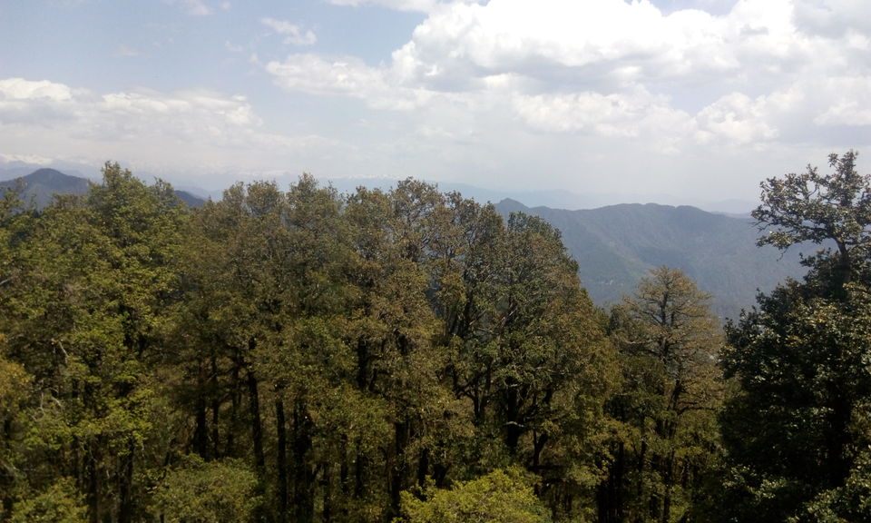 Photo of Narkanda - City of Cherries and Apples 13/13 by Himangi Singh
