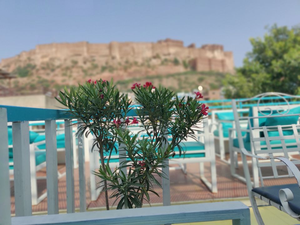 Photo of Zostel by Avinash Menkudle