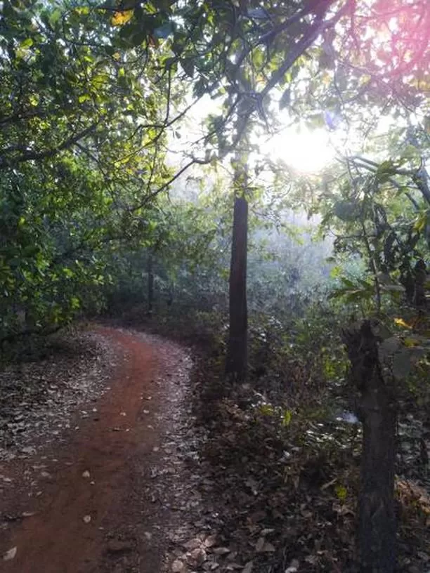 Photo of Butterfly Beach, Goa by Meghal Khot