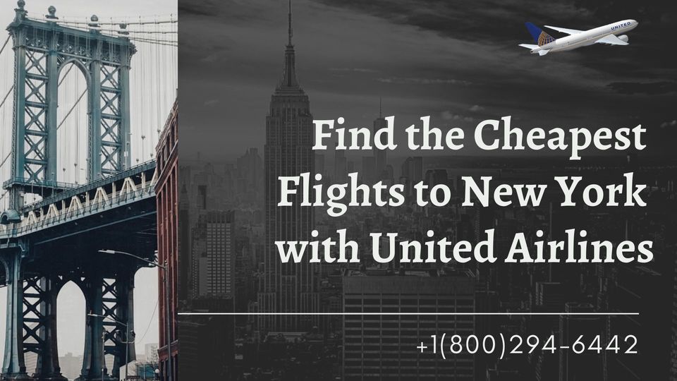 Photo of Find the Cheapest Flights to New York with United Airlines 1/1 by Deven Clark