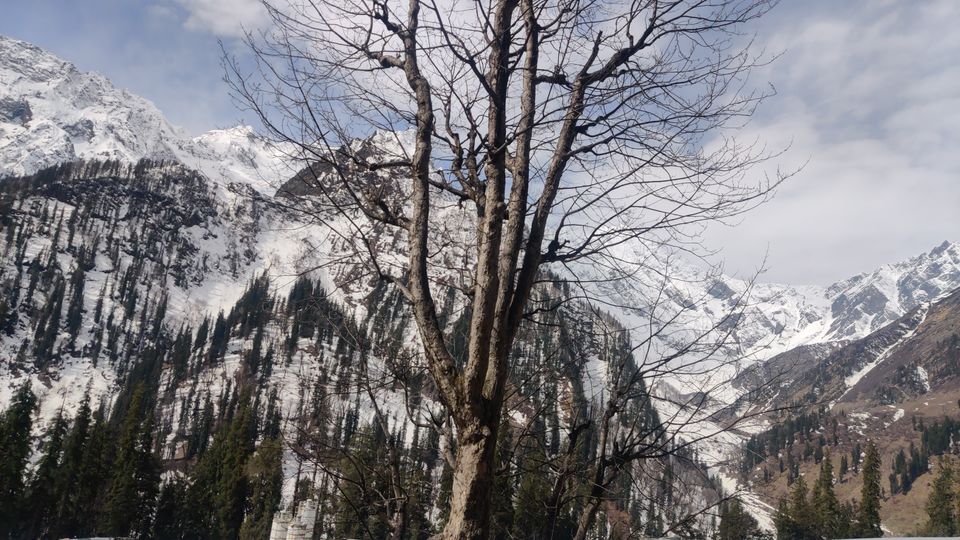 Photo of Manali by Krunal Patel