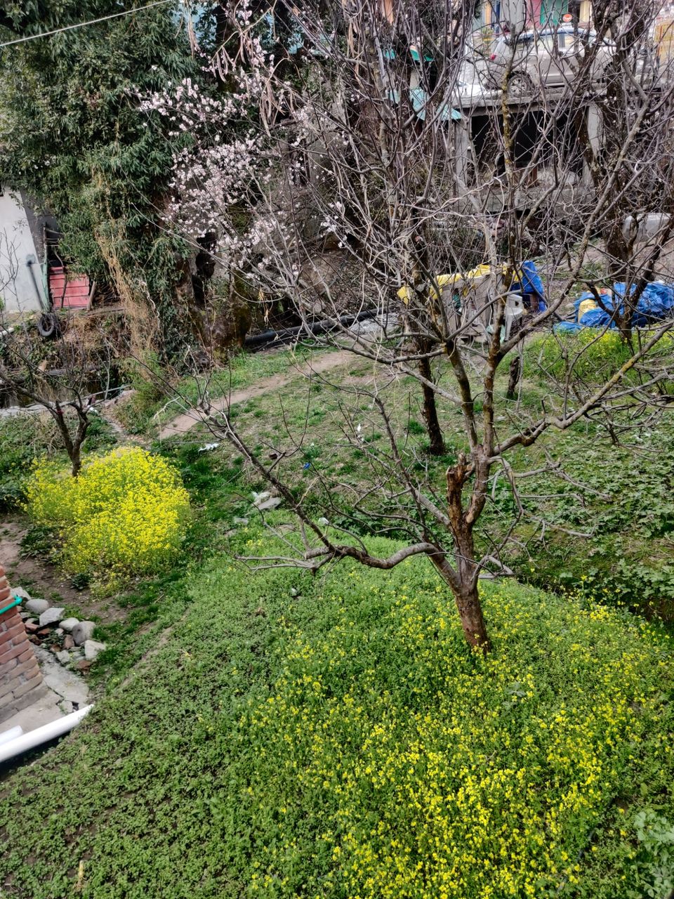 Photo of Manali by Krunal Patel