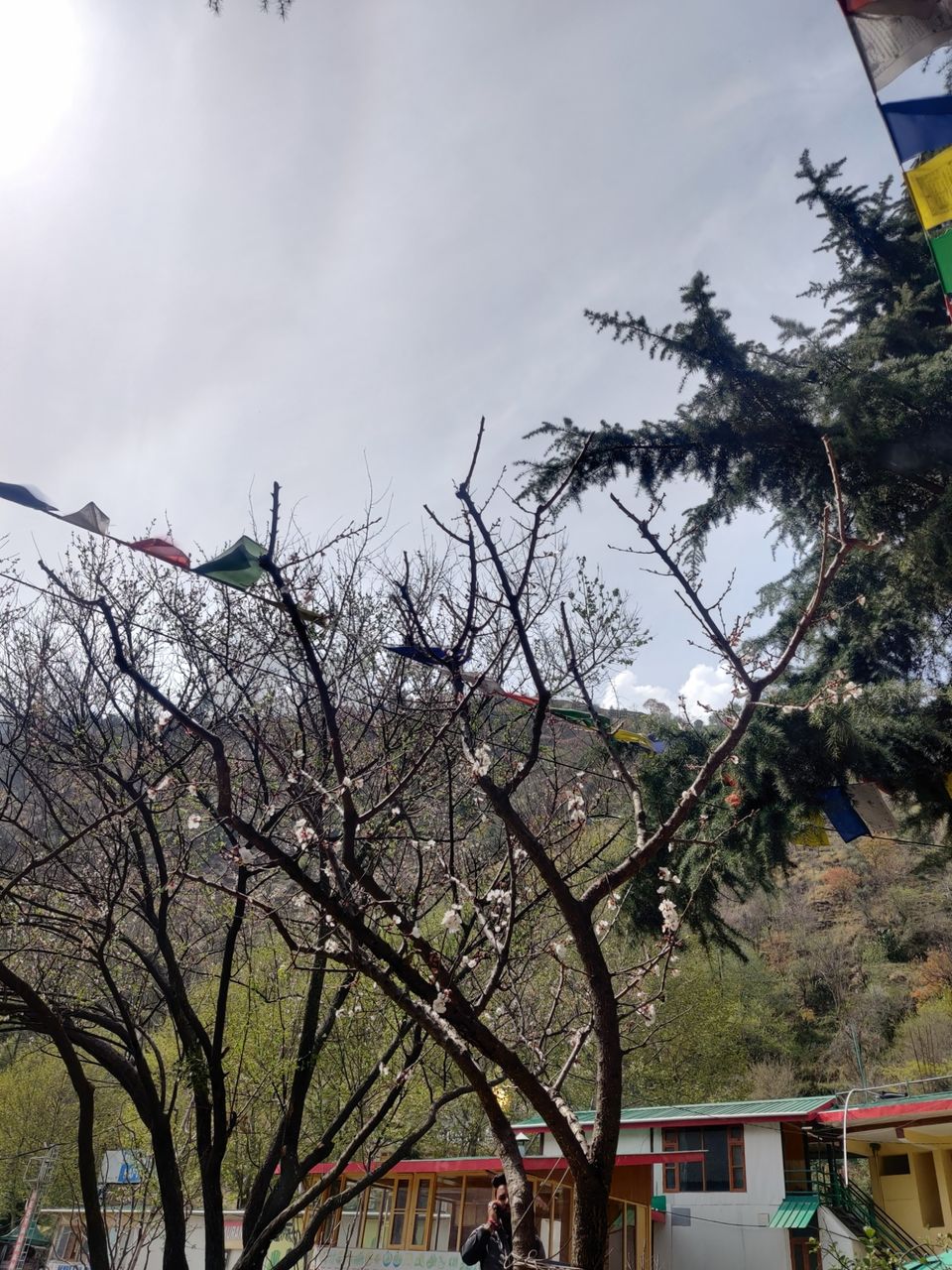 Photo of Manali by Krunal Patel