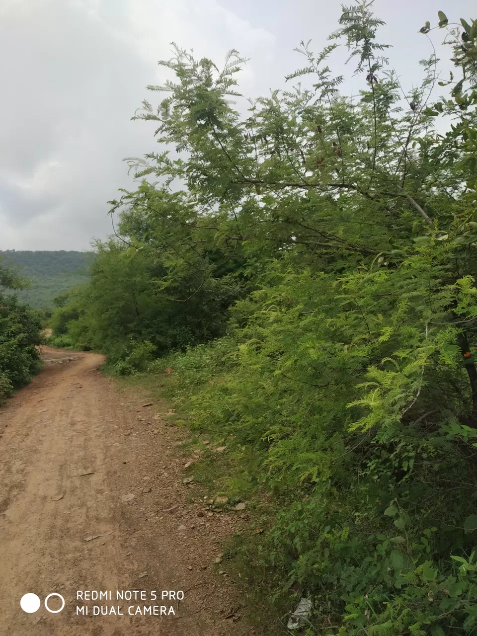 Photo of Madhya Pradesh State Highway 27, Sukhlia, Amrutapura colony, Sukhlia, Indore, Madhya Pradesh, India by Brijesh Dwivedi