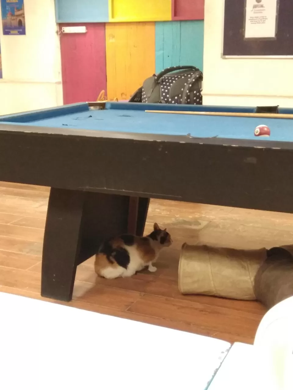 Photo of दिल्ली की सैर by Psych_success